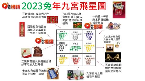 2023風水佈局麥玲玲|【兔年風水運程】兔年要點揀年花、地氈？麥玲玲師父教擺家居九。